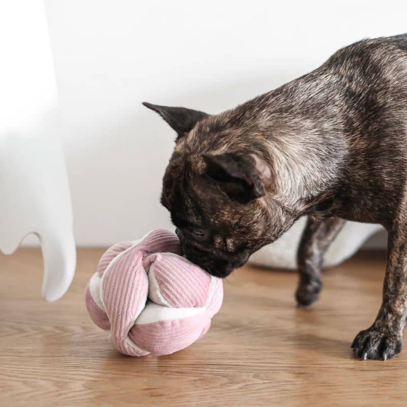 JEU D’OCCUPATION ET DE FOUILLE POUR CHIEN - "MONTI" ROSE - Image 3