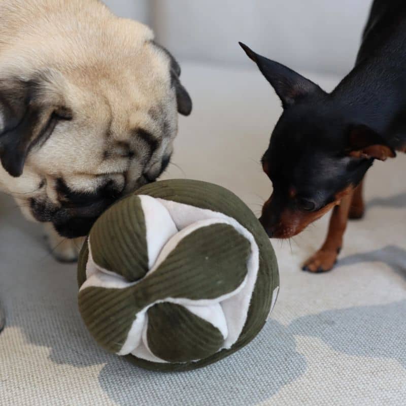JEU D’OCCUPATION ET DE FOUILLE POUR CHIEN - "MONTI" KHAKI - Image 2