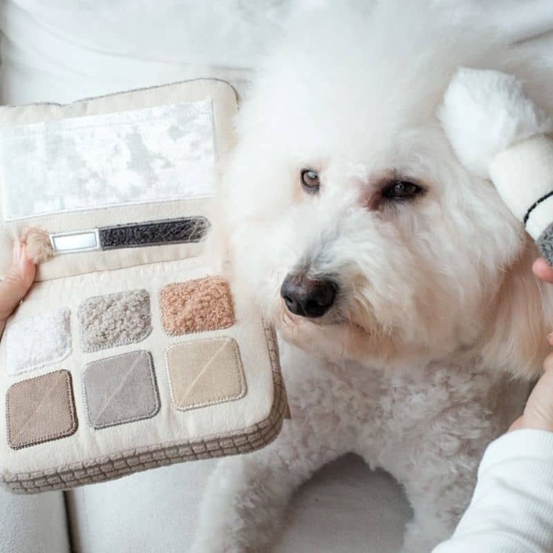 JEU D’OCCUPATION ET DE FOUILLE POUR CHIEN - PALETTE FARDS À PAUPIÈRES - Image 3