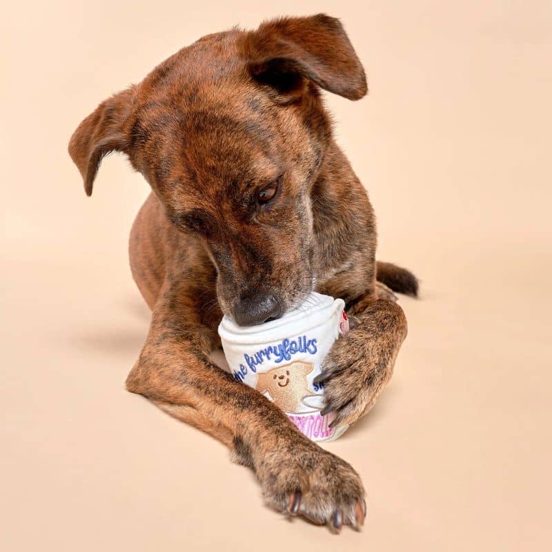 JEU D’OCCUPATION ET DE FOUILLE POUR CHIEN - PAPIER TOILETTE 🧻 - Image 4