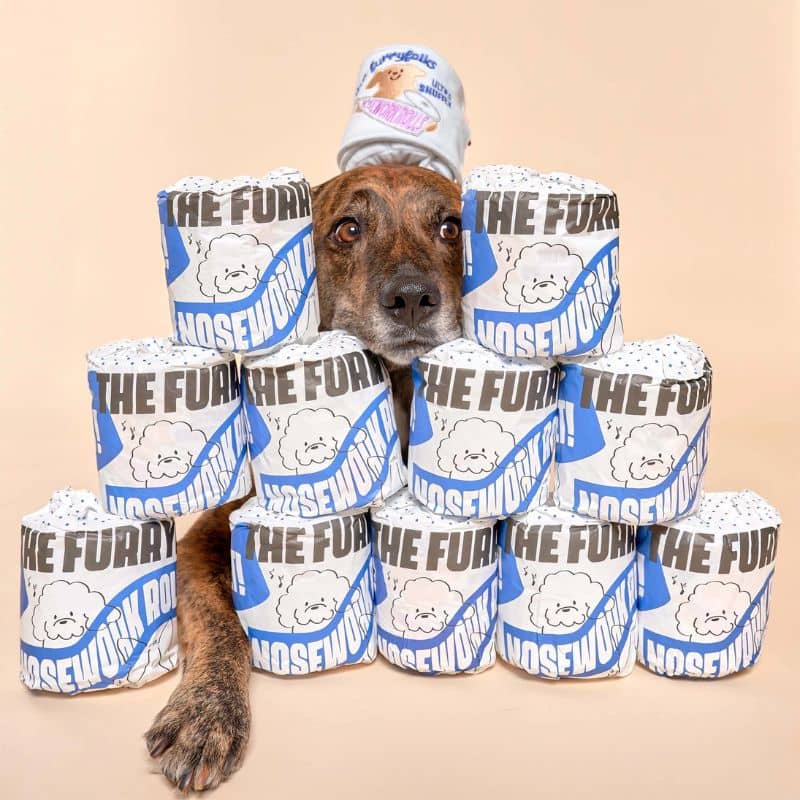 JEU D’OCCUPATION ET DE FOUILLE POUR CHIEN - PAPIER TOILETTE 🧻 - Image 6