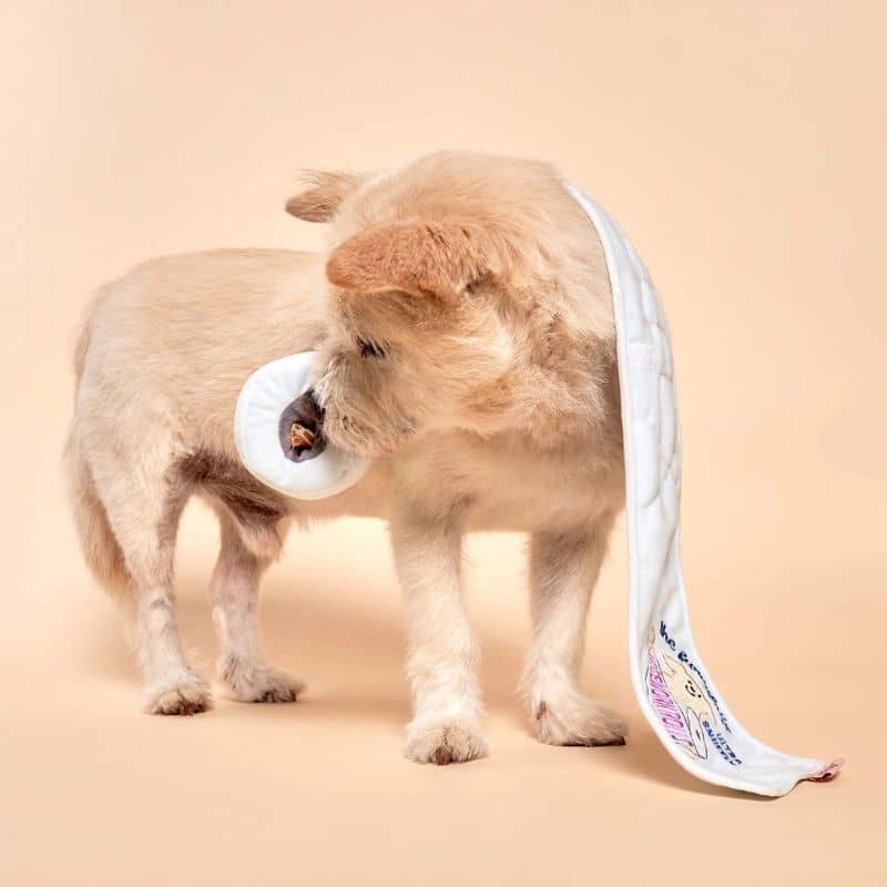 JEU D’OCCUPATION ET DE FOUILLE POUR CHIEN - PAPIER TOILETTE 🧻 - Image 7