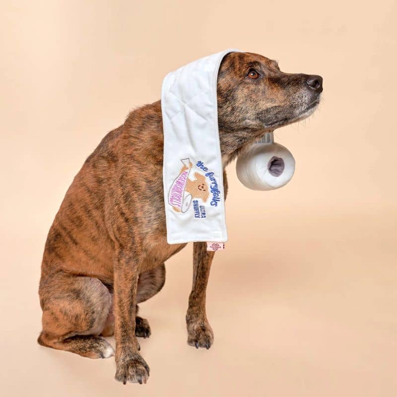 JEU D’OCCUPATION ET DE FOUILLE POUR CHIEN - PAPIER TOILETTE 🧻 - Image 8