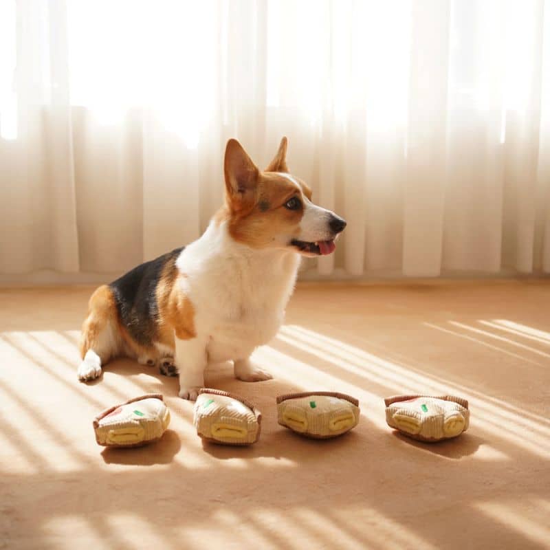 JEU DâOCCUPATION ET DE FOUILLE POUR CHIEN - PIZZA "DEEP DISH PIZZA" đ - Image 6