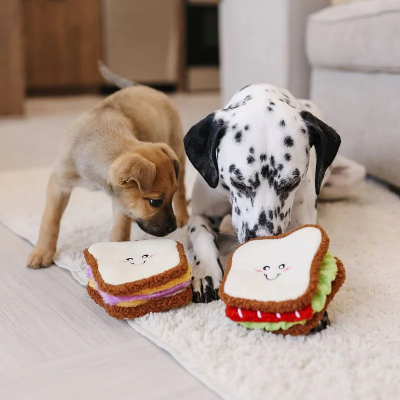 JEU DâOCCUPATION ET DE FOUILLE POUR CHIEN - SANDWICH đ„Ș - Image 7
