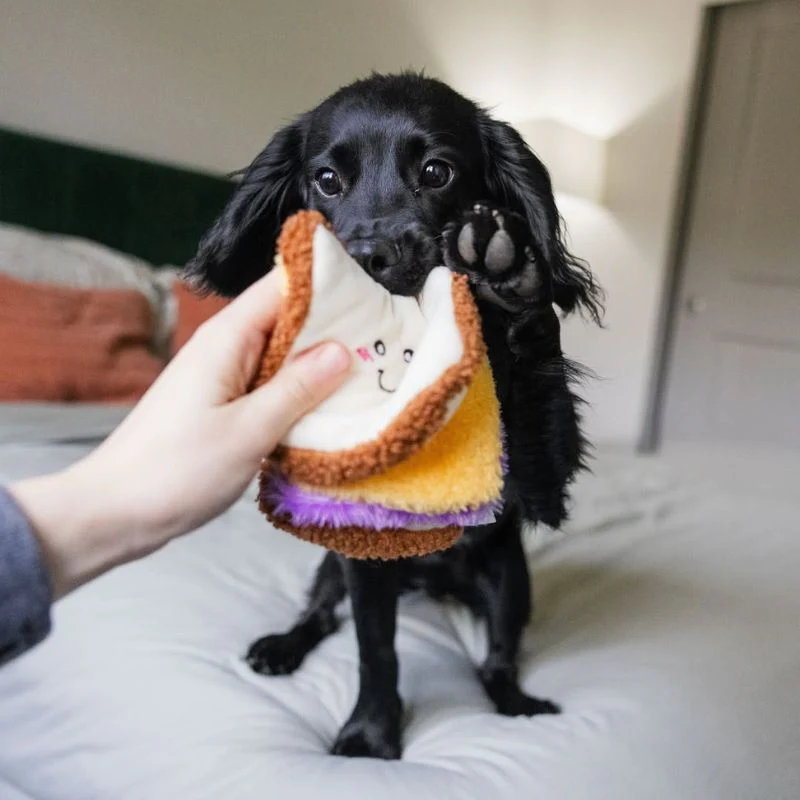 JEU DâOCCUPATION ET DE FOUILLE POUR CHIEN - SANDWICH đ„Ș - Image 9