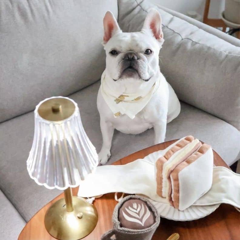JEU DâOCCUPATION ET DE FOUILLE POUR CHIEN - SANDWICH "HAM & CHEESE" đ„Ș - Image 2
