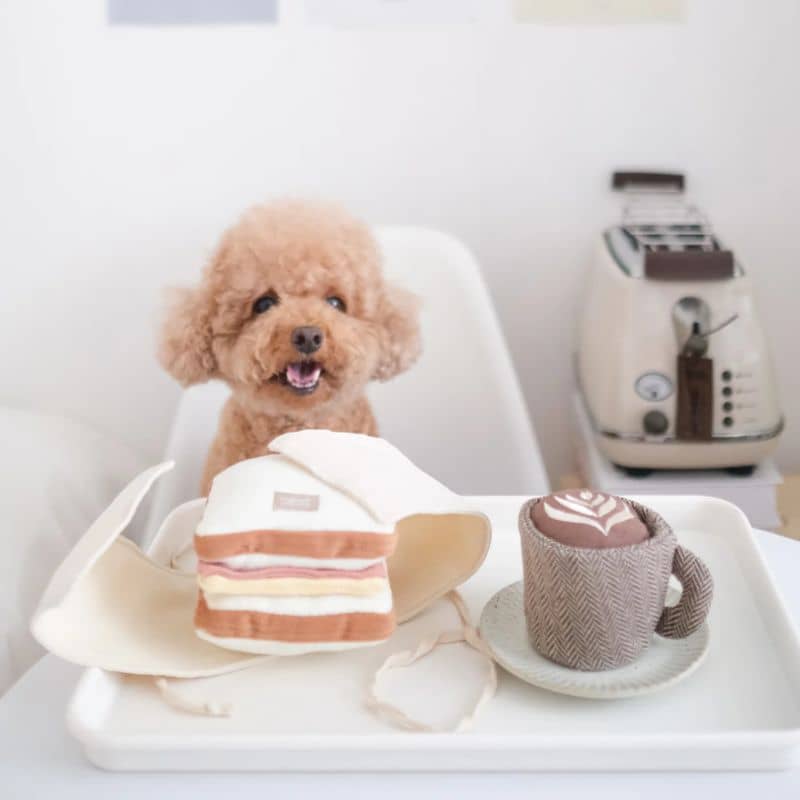 JEU DâOCCUPATION ET DE FOUILLE POUR CHIEN - SANDWICH "HAM & CHEESE" đ„Ș - Image 3