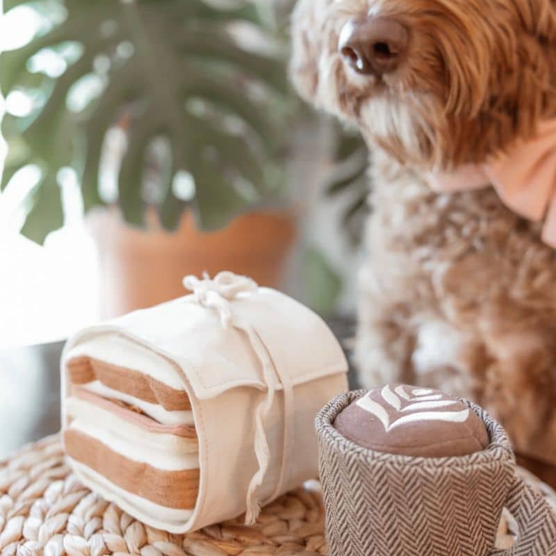 JEU DâOCCUPATION ET DE FOUILLE POUR CHIEN - SANDWICH "HAM & CHEESE" đ„Ș - Image 4