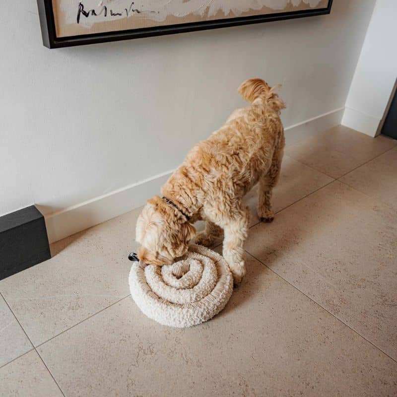 JEU D’OCCUPATION ET DE FOUILLE POUR CHIEN - SWIRL (3 COULEURS DISPO) - Image 5
