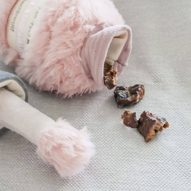 JEU D’OCCUPATION ET DE FOUILLE POUR CHIEN - VERNIS À ONGLES 💅 - Image 2