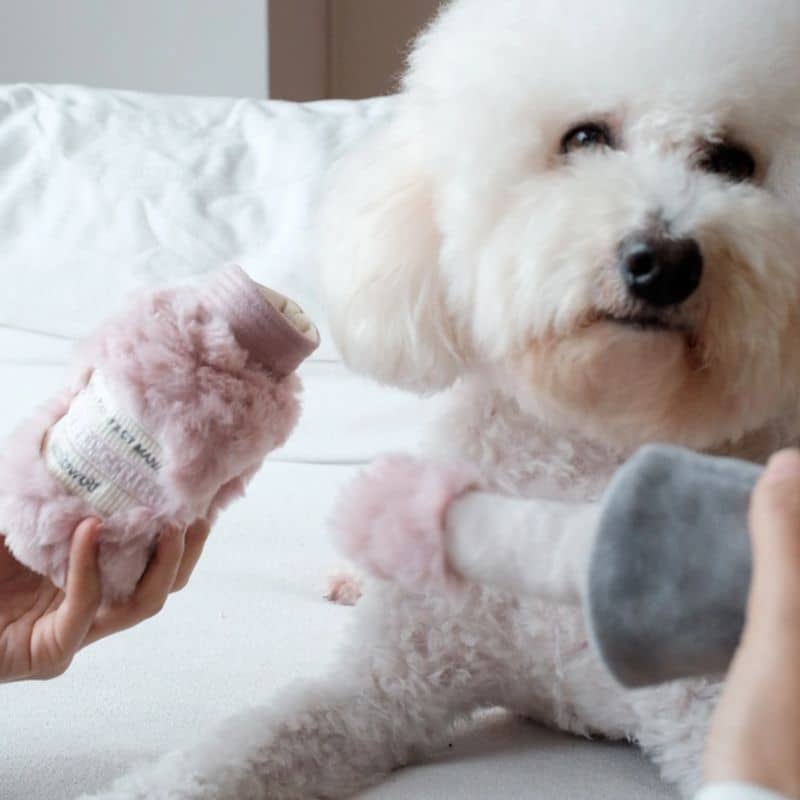 JEU D’OCCUPATION ET DE FOUILLE POUR CHIEN - VERNIS À ONGLES 💅 - Image 6