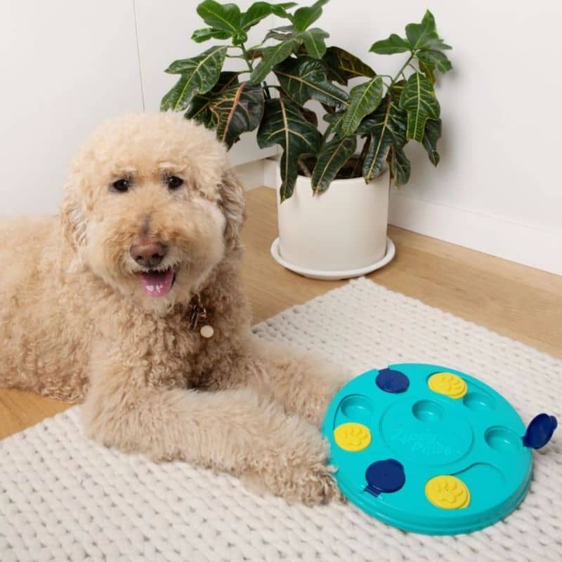 JOUET D’INTELLIGENCE POUR CHIEN - PUZZLE BLEU - Image 2