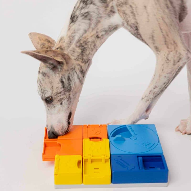 JOUET D’INTELLIGENCE POUR CHIEN - PUZZLE RAINBOW SET - Image 7