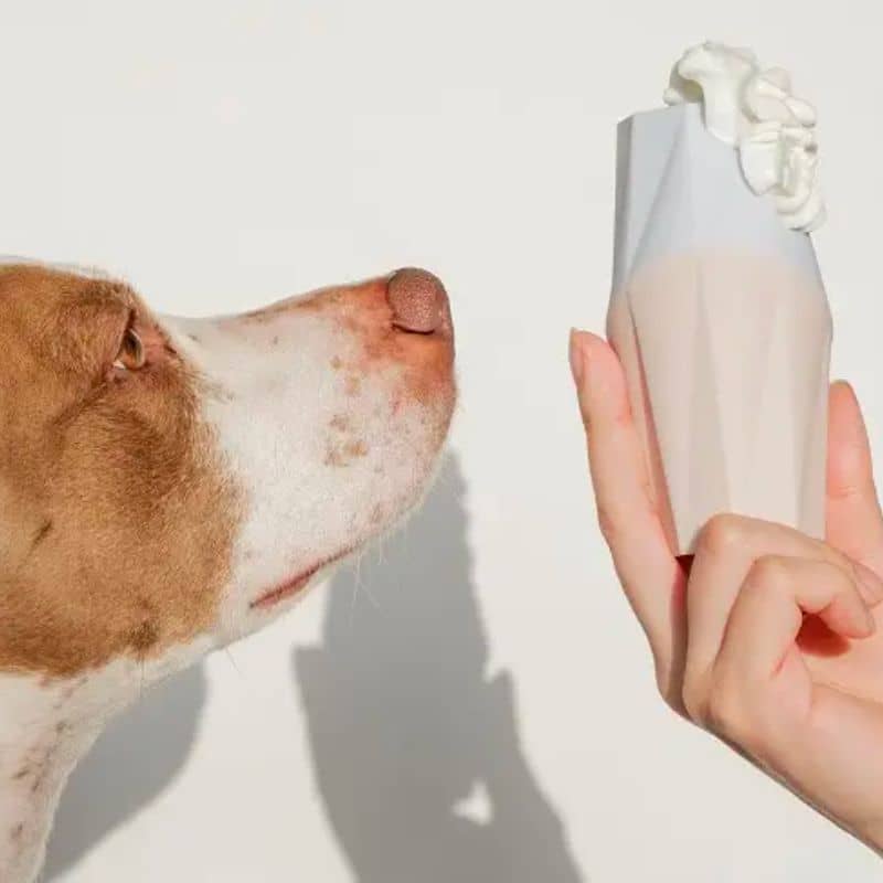 JOUET D’OCCUPATION DISTRIBUTEUR DE FRIANDISES HUMIDES POUR CHIEN - THE UBBE - Image 4