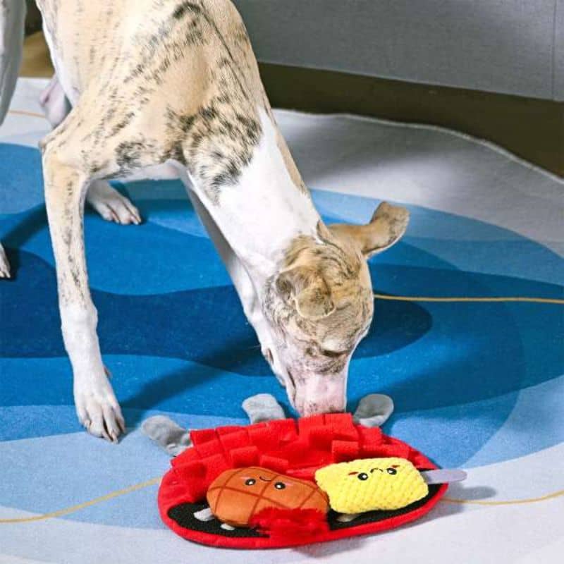 JOUET D’OCCUPATION ET DE FOUILLE POUR CHIEN - BARBECUE - Image 2