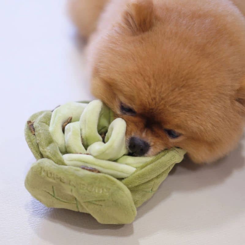 JOUET DâOCCUPATION ET DE FOUILLE POUR CHIEN - CHOU đ„Ź - Image 2