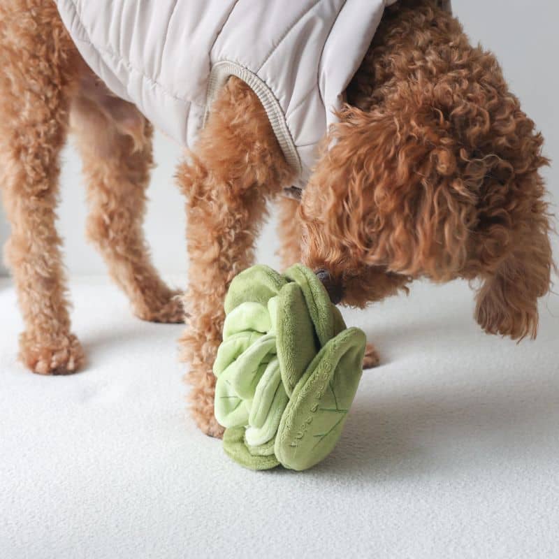 JOUET DâOCCUPATION ET DE FOUILLE POUR CHIEN - CHOU đ„Ź - Image 6