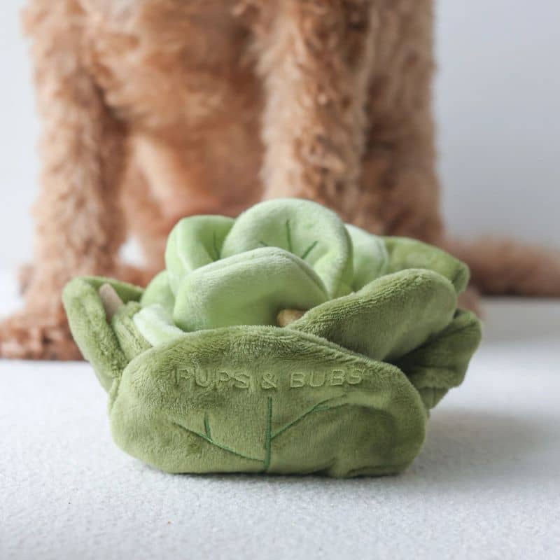 JOUET DâOCCUPATION ET DE FOUILLE POUR CHIEN - CHOU đ„Ź - Image 8