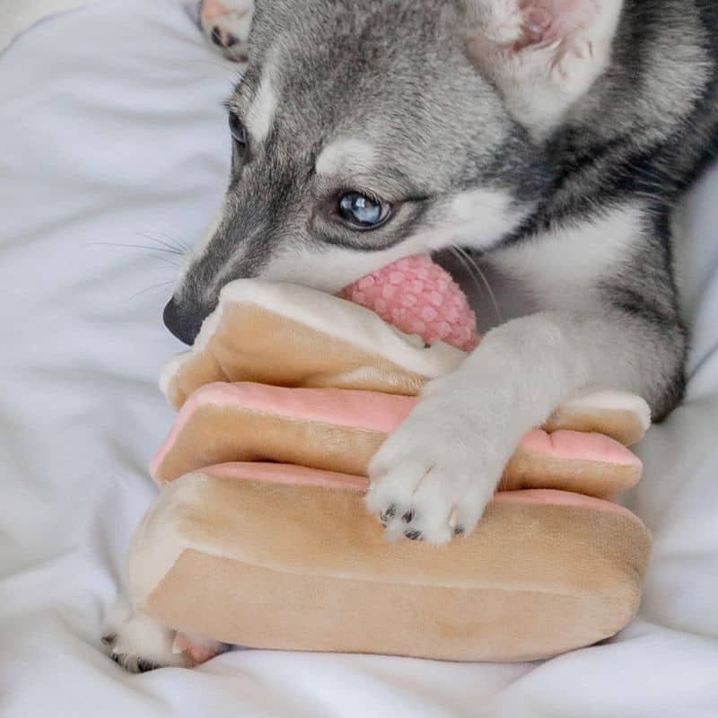 JOUET D’OCCUPATION ET DE FOUILLE POUR CHIEN - MILLE-FEUILLES FRAISE 🍰 - Image 3