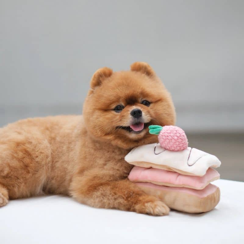 JOUET D’OCCUPATION ET DE FOUILLE POUR CHIEN - MILLE-FEUILLES FRAISE 🍰 - Image 5