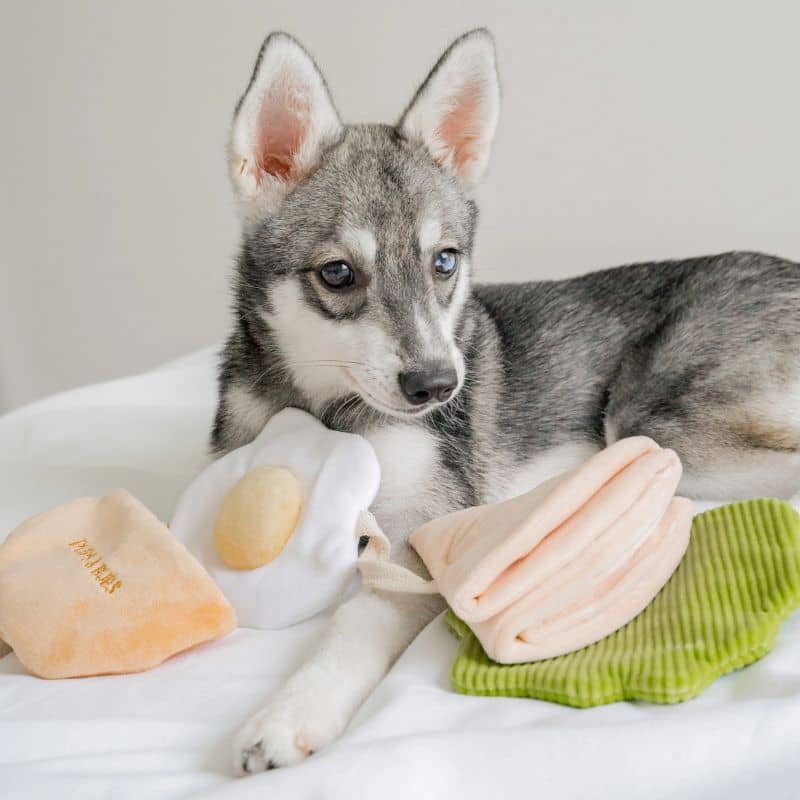 JOUET D’OCCUPATION ET DE FOUILLE POUR CHIEN - PITA 🥙 - Image 2