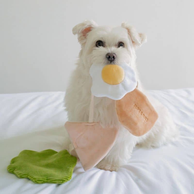 JOUET D’OCCUPATION ET DE FOUILLE POUR CHIEN - PITA 🥙 - Image 5