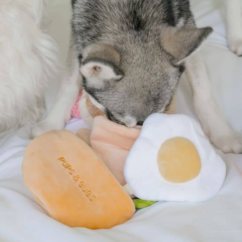 JOUET D’OCCUPATION ET DE FOUILLE POUR CHIEN - PITA 🥙 - Image 6