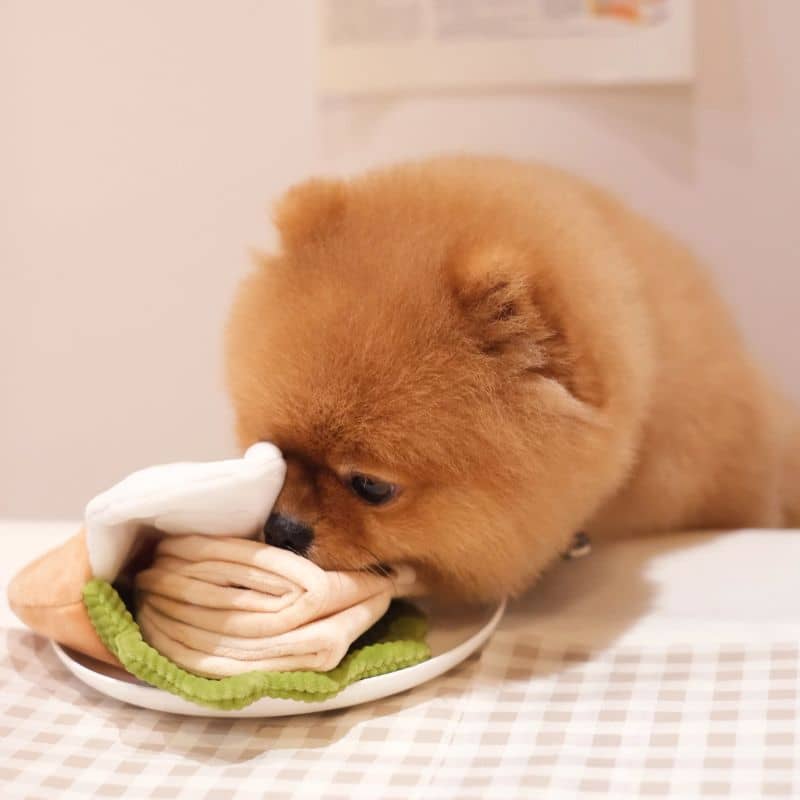 JOUET D’OCCUPATION ET DE FOUILLE POUR CHIEN - PITA 🥙 - Image 7