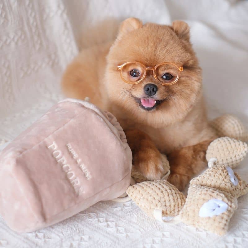JOUET DâOCCUPATION ET DE FOUILLE POUR CHIEN - POP CORN đż - Image 2