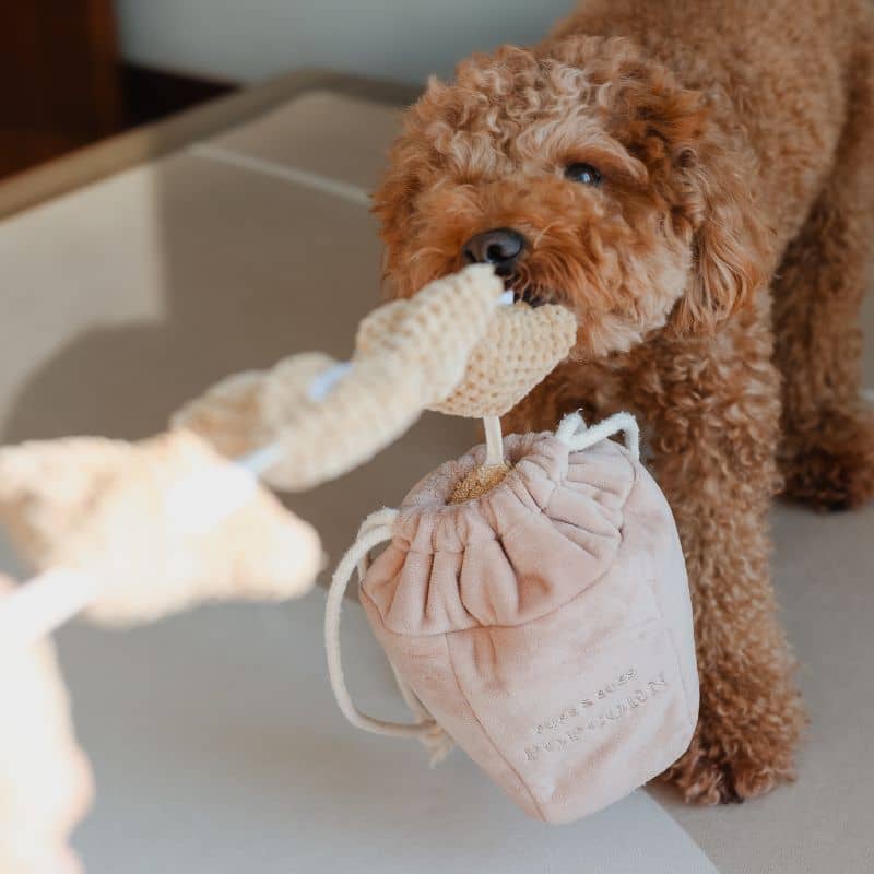 JOUET DâOCCUPATION ET DE FOUILLE POUR CHIEN - POP CORN đż - Image 5