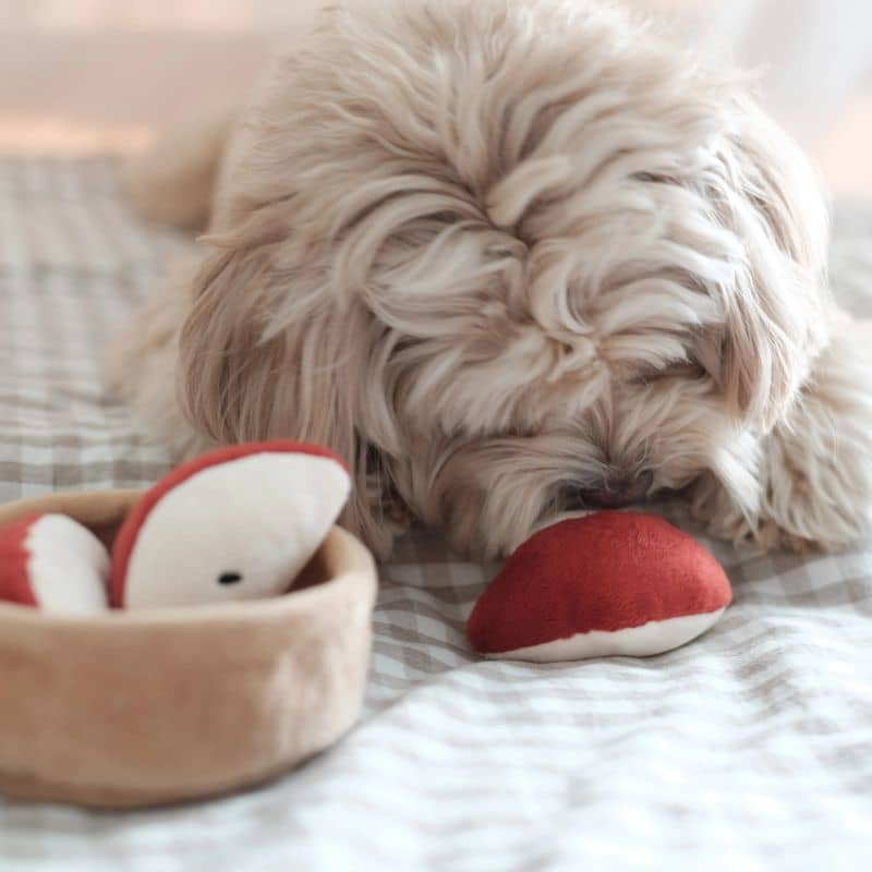 JOUET DâOCCUPATION ET DE FOUILLE POUR CHIEN - TARTE AUX POMMES đ„§ - Image 10