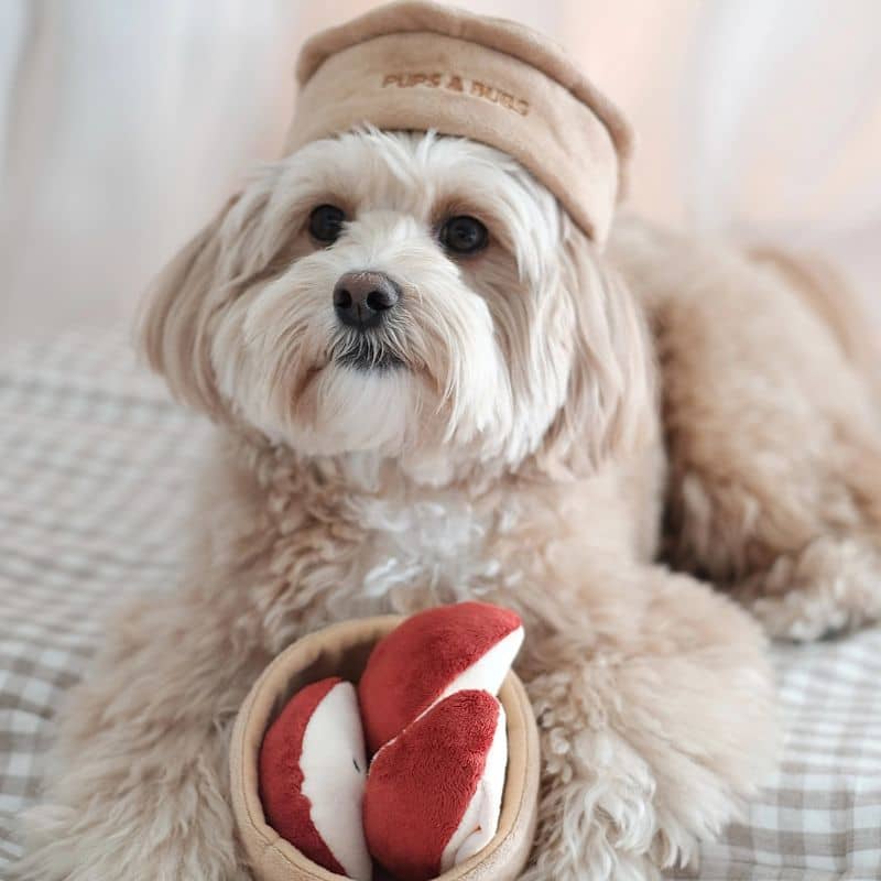 JOUET DâOCCUPATION ET DE FOUILLE POUR CHIEN - TARTE AUX POMMES đ„§ - Image 2