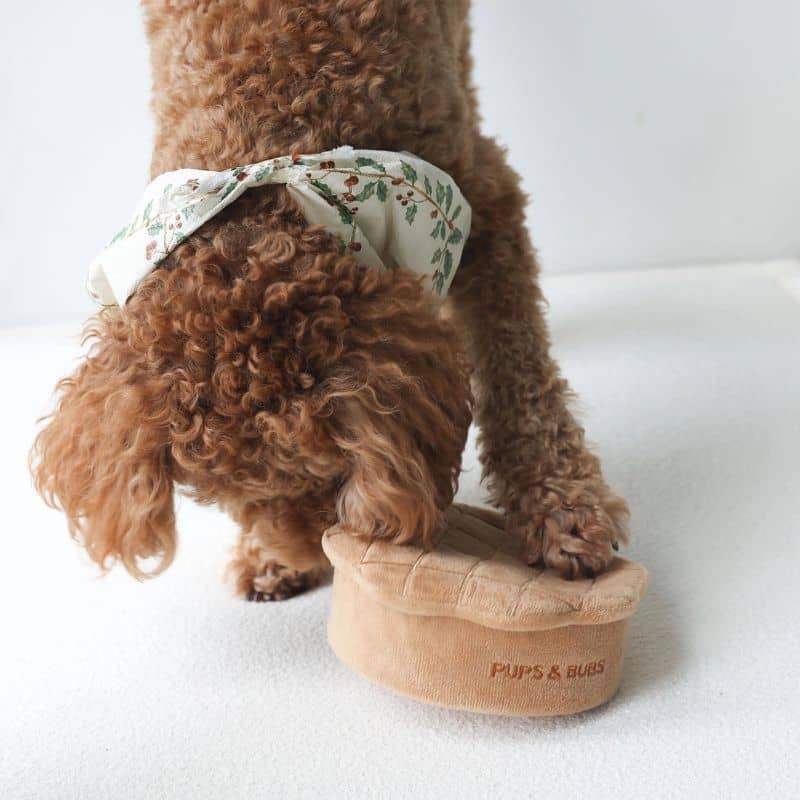 JOUET DâOCCUPATION ET DE FOUILLE POUR CHIEN - TARTE AUX POMMES đ„§ - Image 7
