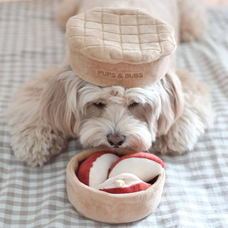 JOUET DâOCCUPATION ET DE FOUILLE POUR CHIEN - TARTE AUX POMMES đ„§ - Image 9