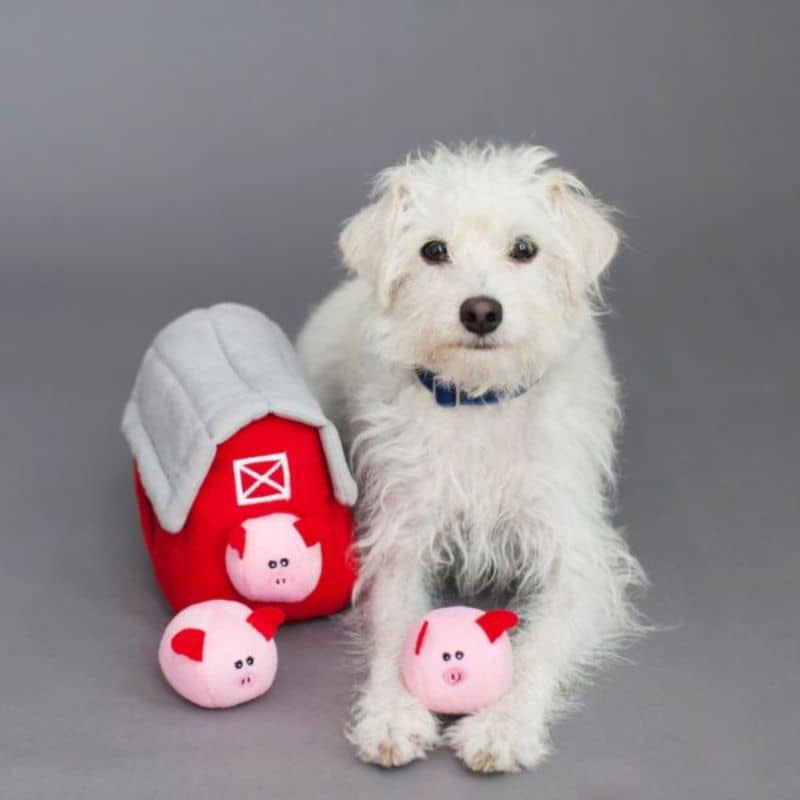 JOUET DâOCCUPATION INTERACTIF POUR CHIEN - FERME ET COCHONS đ· - Image 2