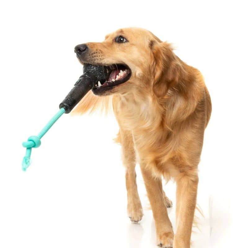 JOUET À MÂCHER POUR CHIEN - MICRO 🎤 - Image 4