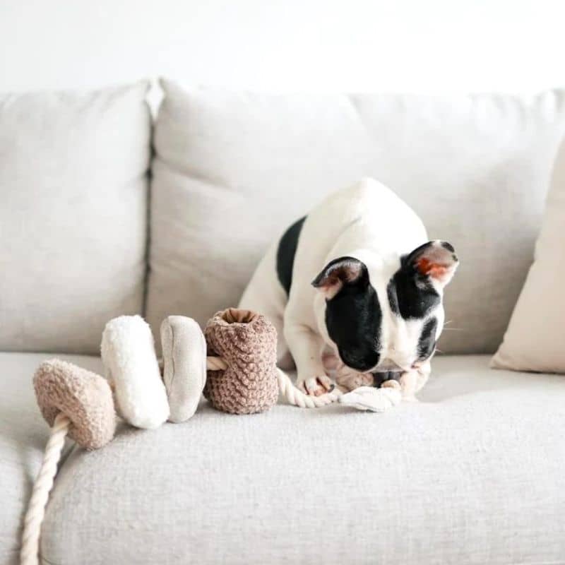 JOUET INTERACTIF NOSEWORK AVEC CORDE POUR CHIEN - "BLOCS" - Image 4
