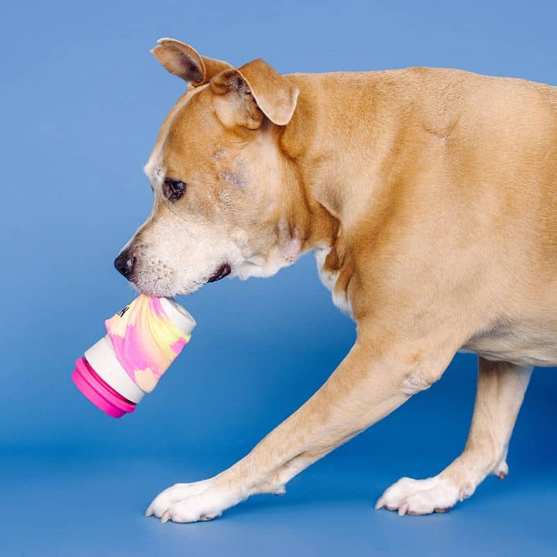 JOUET D'OCCUPATION RÉSISTANT POUR CHIEN - TRAVEL MUG CAFÉ * ROSE - Image 2