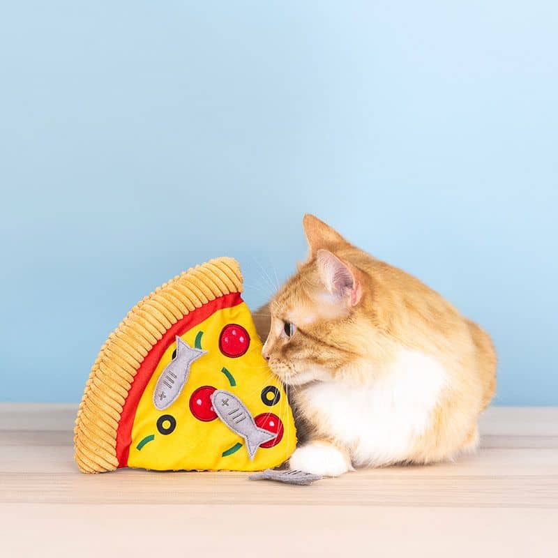 JOUET POUR CHAT À L’HERBE À CHAT - PIZZA AUX ANCHOIS 🍕 - Image 3