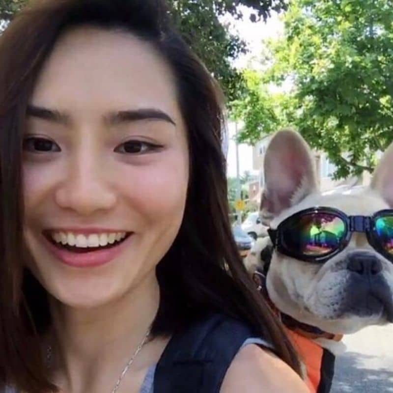 LUNETTES DE SOLEIL POUR CHIEN - PROTECTION YEUX - Image 5
