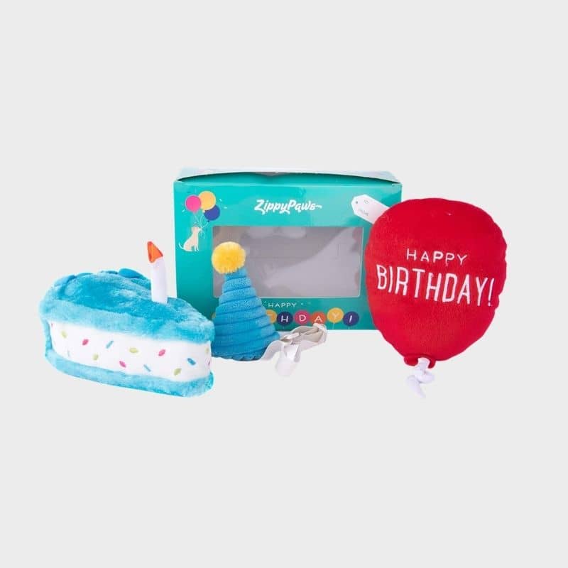 KIT PELUCHES ANNIVERSAIRE POUR CHIEN - BLEU 🎈🎂🥳