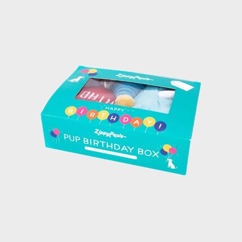 KIT PELUCHES ANNIVERSAIRE POUR CHIEN - BLEU 🎈🎂🥳 - Image 2