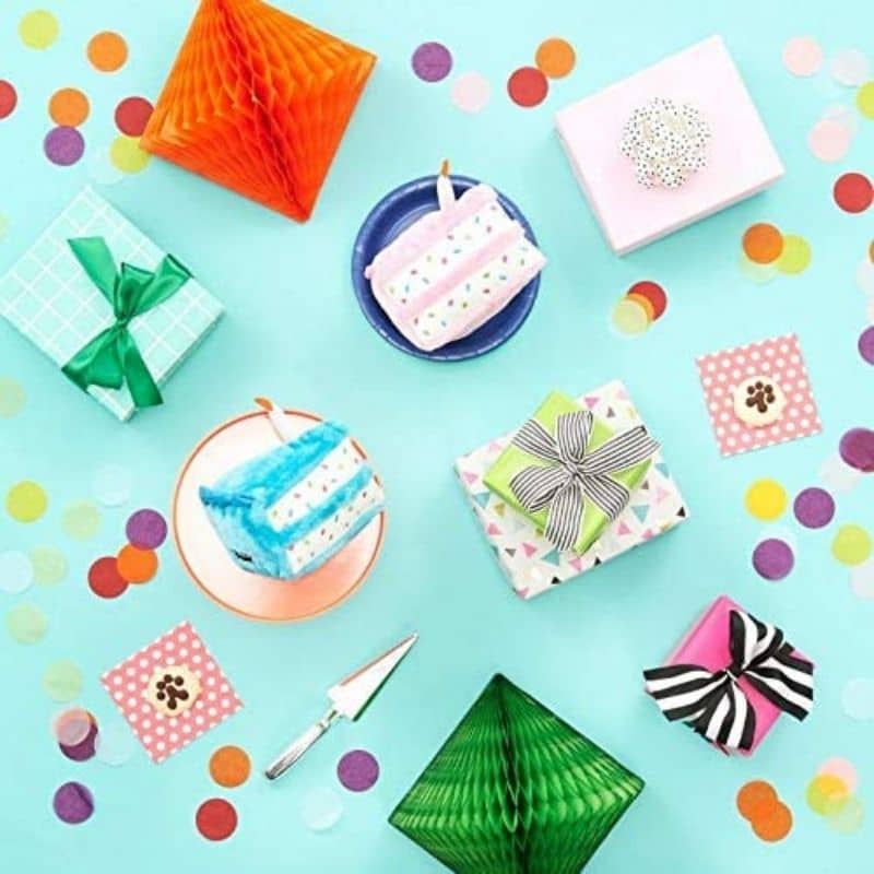 KIT PELUCHES ANNIVERSAIRE POUR CHIEN - BLEU 🎈🎂🥳 - Image 4