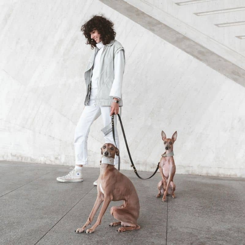 LAISSE MULTIPOSITIONS EN CUIR POUR CHIEN (4 POSITIONS) - NOIR - Image 5