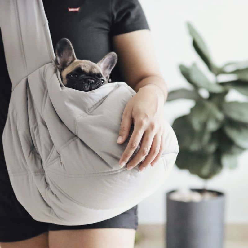 SAC DE TRANSPORT BANDOULIÈRE POUR PETIT CHIEN (<5KG) - GRIS, BEIGE OU KAKI - Image 2