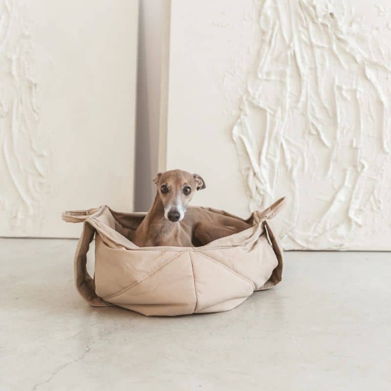 SAC DE TRANSPORT BANDOULIÈRE POUR PETIT CHIEN (<5KG) - GRIS, BEIGE OU KAKI - Image 4