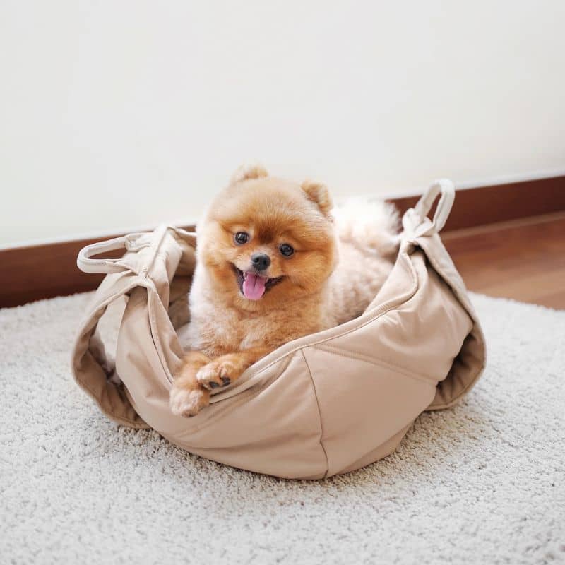 SAC DE TRANSPORT BANDOULIÈRE POUR PETIT CHIEN (<5KG) - GRIS, BEIGE OU KAKI - Image 6