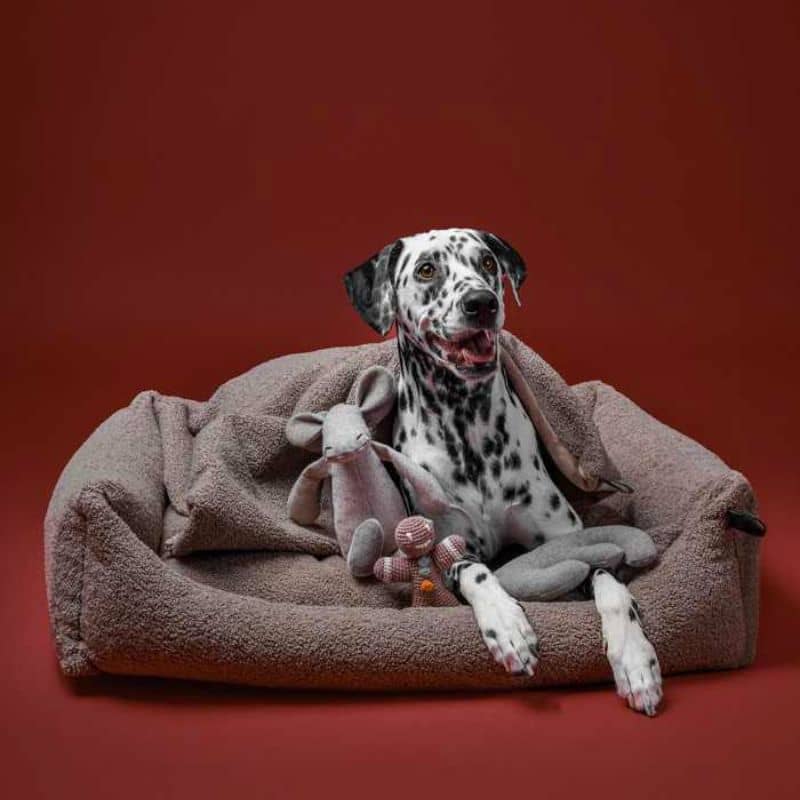 LIT DÉHOUSSABLE POUR CHIEN TEDDY EN BOUCLETTE - TAUPE - Image 4
