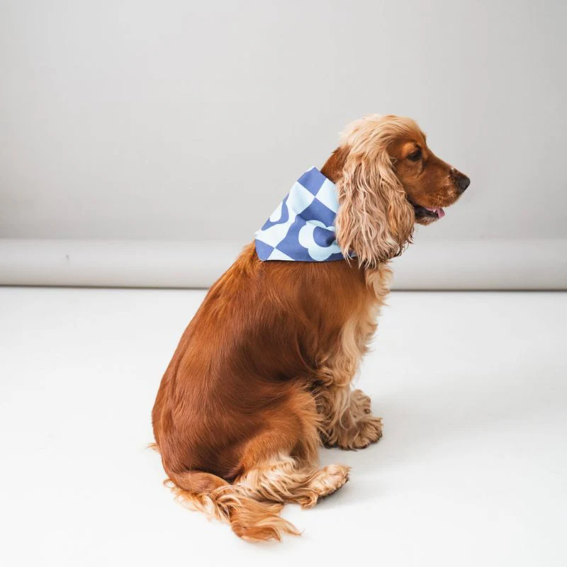 BANDANA POUR CHIEN - FLEURS BLEUES RETRO - Image 2